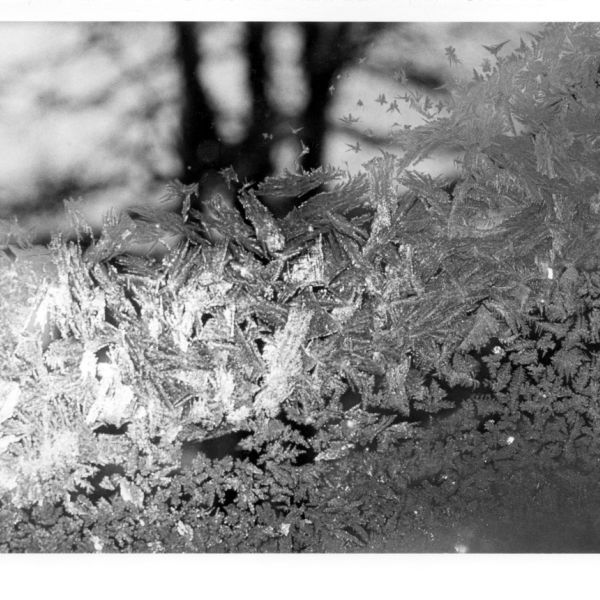 frost pattern on window